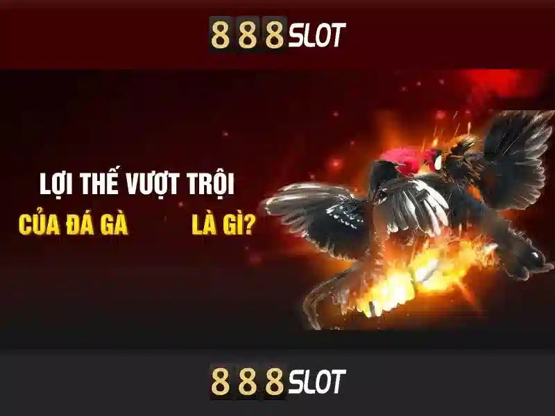 888SLOT – Trải Nghiệm Slot Online Đỉnh Cao
