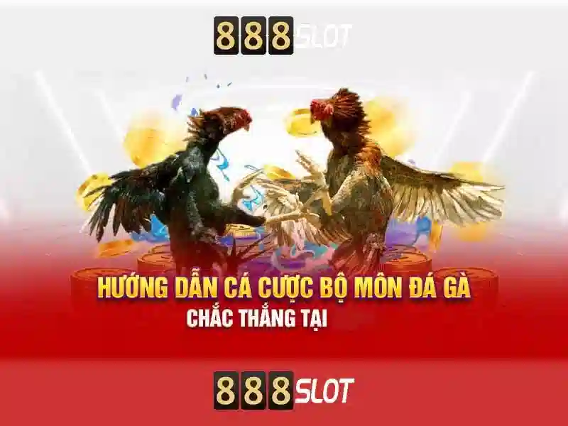 Trải nghiệm cá cược trực tuyến 888slot