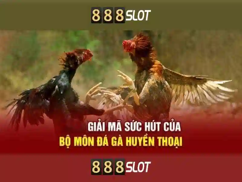 Trải nghiệm Slot đỉnh cao tại 888SLOT