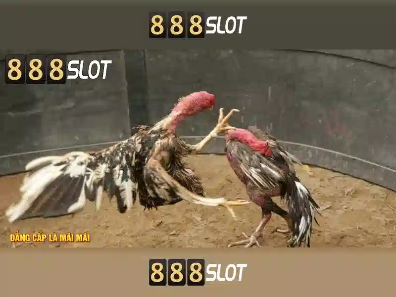 Cổng game SLOT 888SLOT