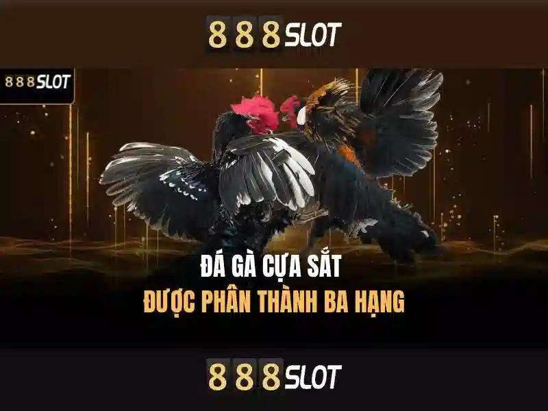 Tận Dụng Tối Đa Khuyến Mãi 888slot Poker