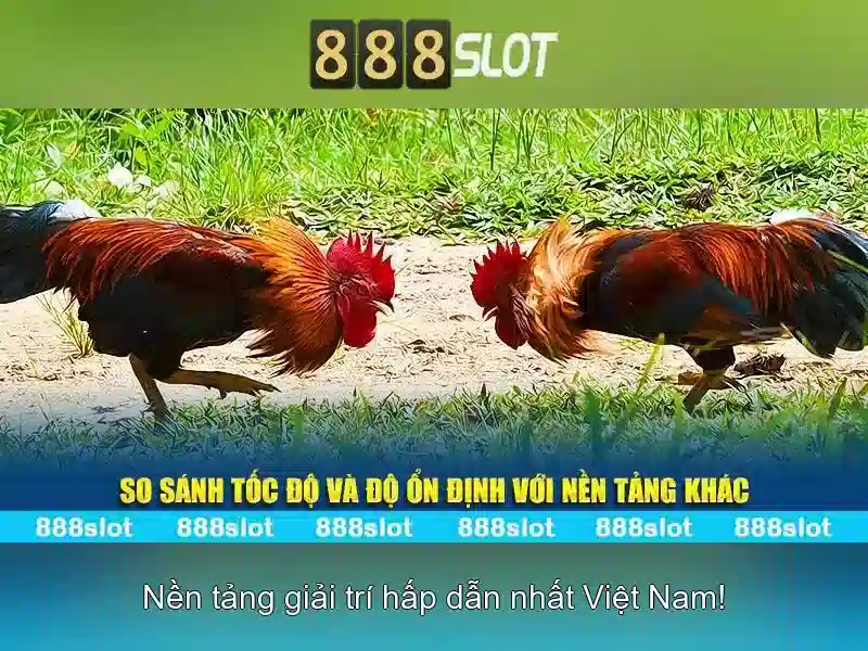 Tại Sao Chọn 888SLOT