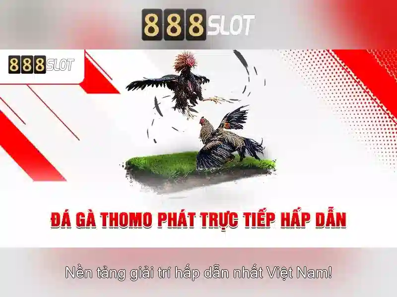 Nền Tảng Slot Trực Tuyến Đa Dạng