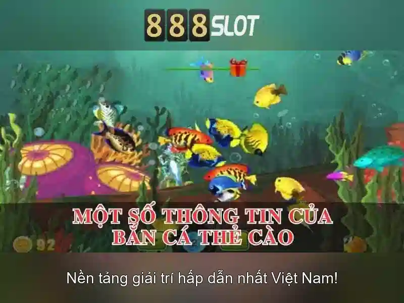 Điều Khoản Và Điều Kiện 888SLOT – Quy Định Cần Nắm Vững Trước Khi Tham Gia